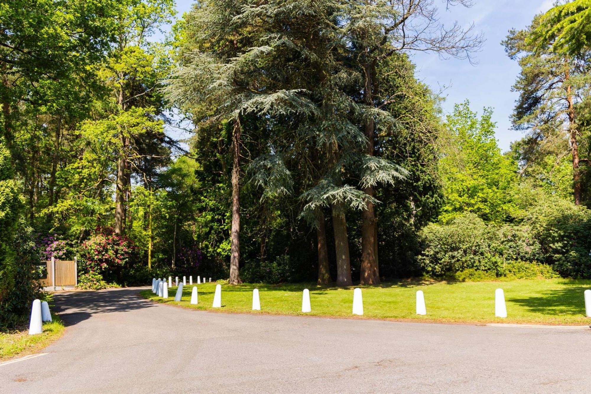 Hilton Cobham Hotel Kültér fotó